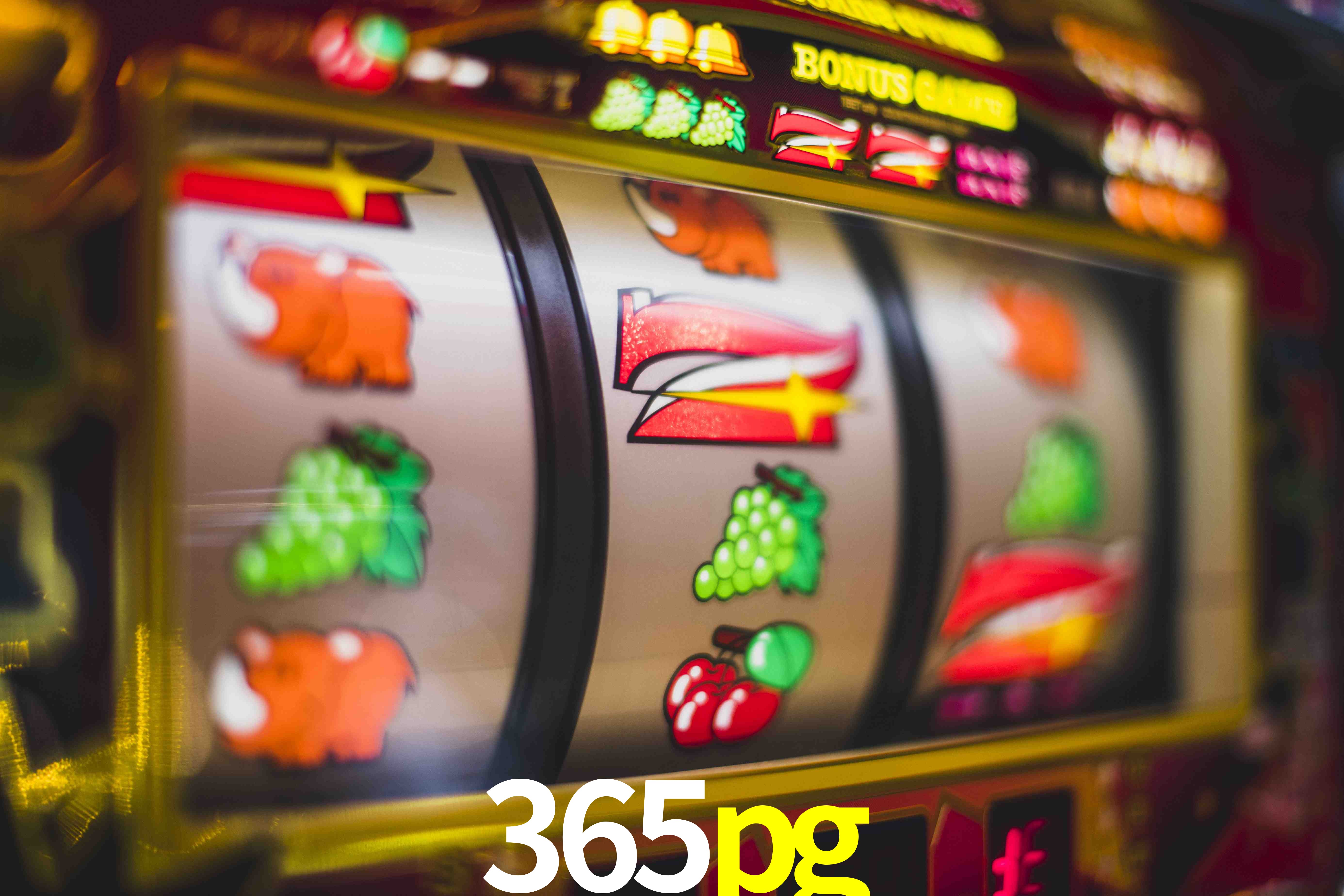 Tennis Betting 365pg